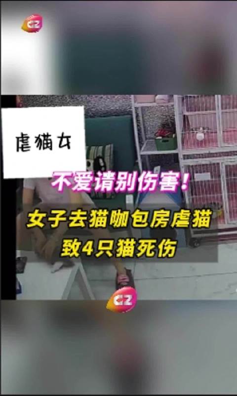 游戏专题 第155页