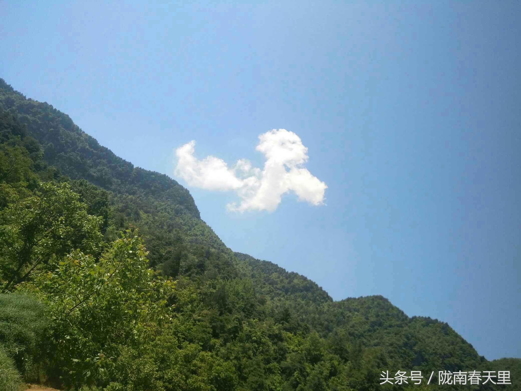 地方新闻 第112页