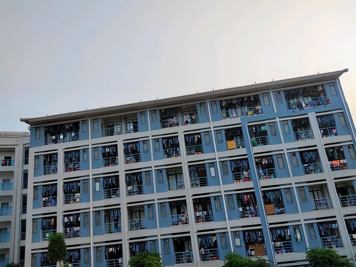 地方新闻 第86页